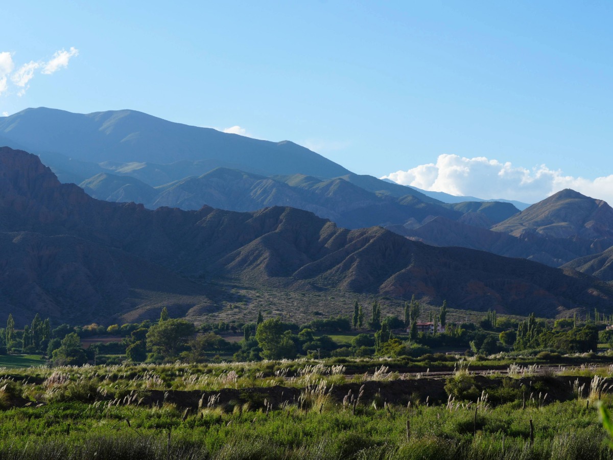 The High Altitude Wines of Northwest Argentina